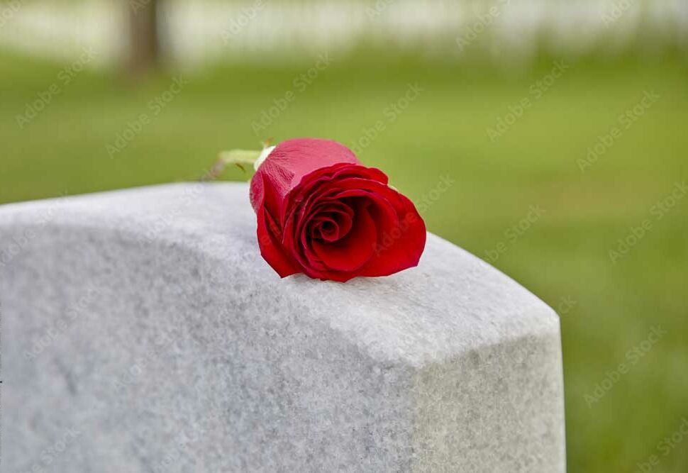 Standing head stone with a single red rose laid on top
